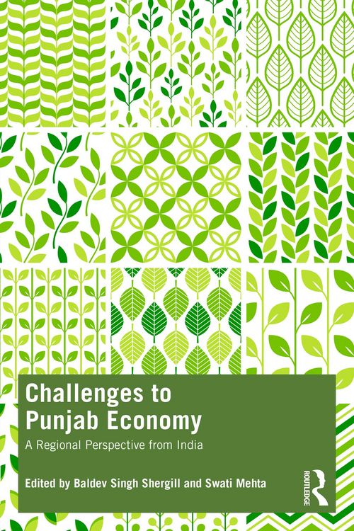 Produktbild: Challenges to Punjab Economy