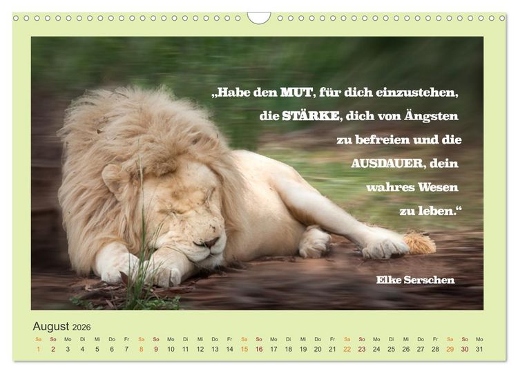 Produktbild: Co-Kreation, Gemeinsam Wunder erschaffen (Wandkalender 2026 DIN A3 quer), CALVENDO Monatskalender