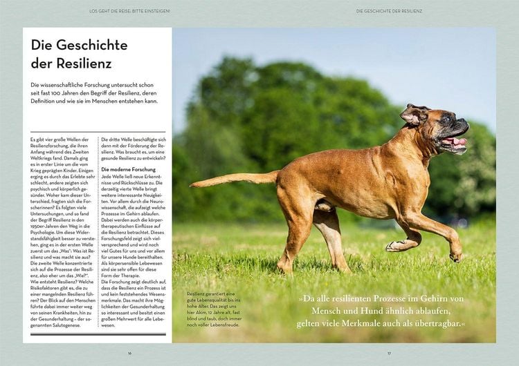 Produktbild: Resilienz bei Hunden