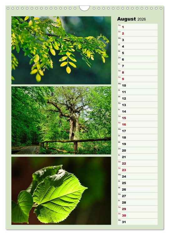 Produktbild: Harmonie der Farben in Landschaft und Natur (Wandkalender 2026 DIN A3 hoch), CALVENDO Monatskalender