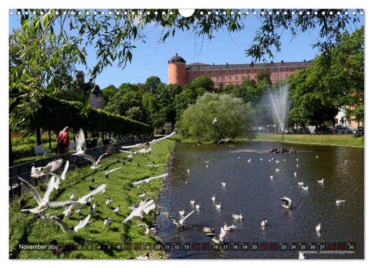 Produktbild: Faszination S&uuml;dschweden 2026 (Wandkalender 2026 DIN A3 quer), CALVENDO Monatskalender