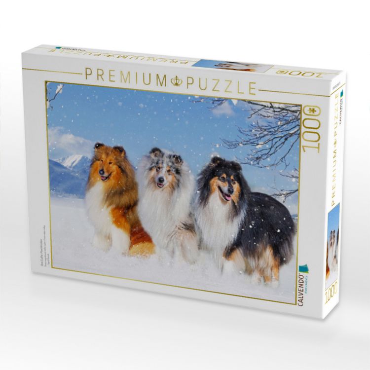 Produktbild: CALVENDO Puzzle Drei Collie-Prachtr&uuml;den | 1000 Teile Lege-Gr&ouml;&szlig;e 64x48cm Foto-Puzzle f&uuml;r gl&uuml;ckliche Stunden