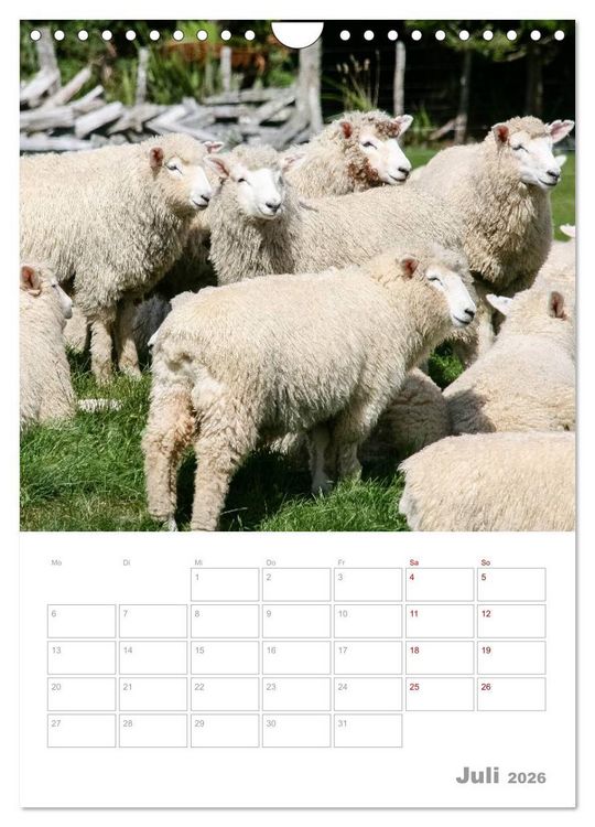 Produktbild: Kalenderplaner g'day Neuseeland 2026 (Wandkalender 2026 DIN A4 hoch), CALVENDO Monatskalender