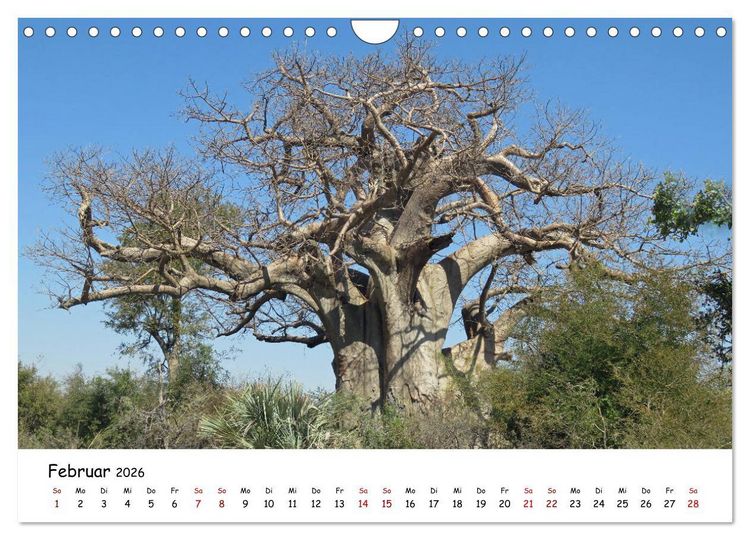 Produktbild: Natur und Landschaft. S&uuml;dliches Afrika 2026 (Wandkalender 2026 DIN A4 quer), CALVENDO Monatskalender