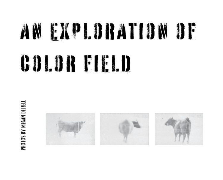 Produktbild: An Exploration In Color Field