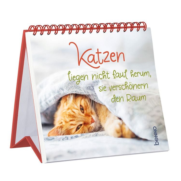 Produktbild: Katzen liegen nicht faul herum, sie versch&ouml;nern den Raum