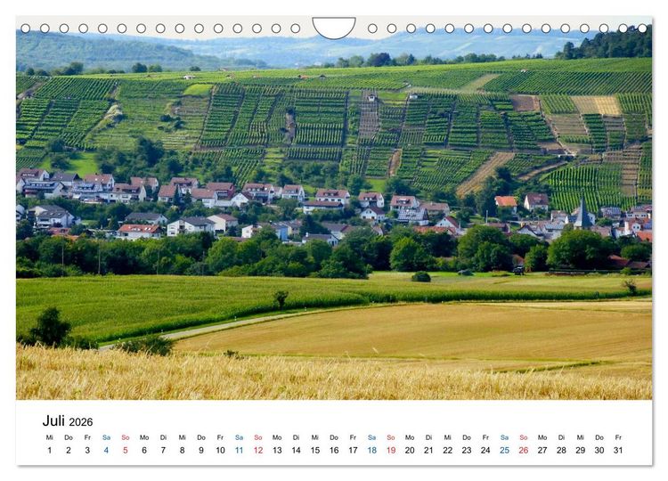 Produktbild: W&uuml;rttemberger Wein 2026 (Wandkalender 2026 DIN A4 quer), CALVENDO Monatskalender