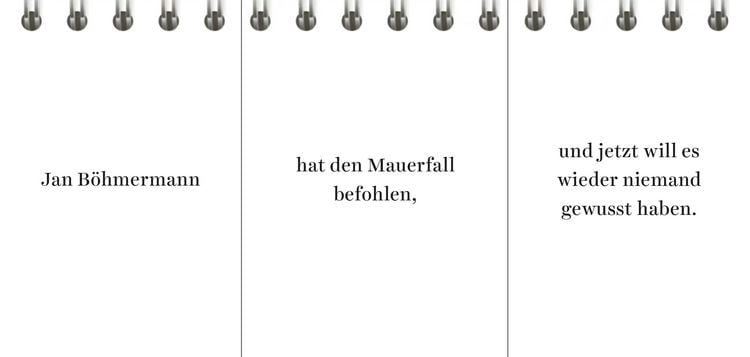 Produktbild: Der Desinformator