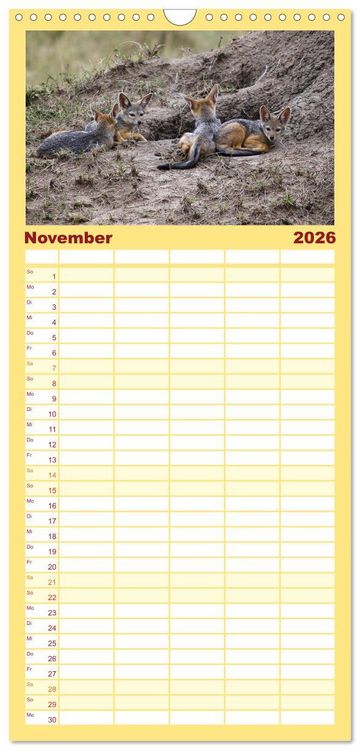 Produktbild: Familienplaner 2026 - Wildes Kinderzimmer - Tierkinder in Afrika mit 5 Spalten (Wandkalender, 21 x 45 cm) CALVENDO