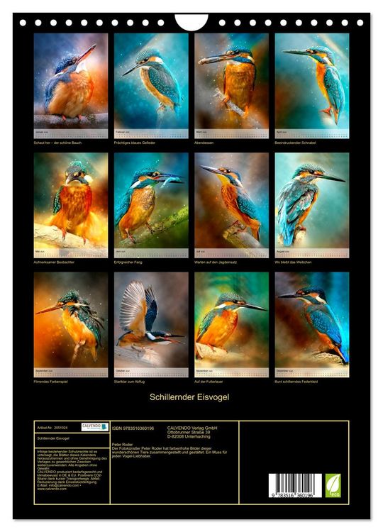 Produktbild: Schillernder Eisvogel (Wandkalender 2026 DIN A4 hoch), CALVENDO Monatskalender
