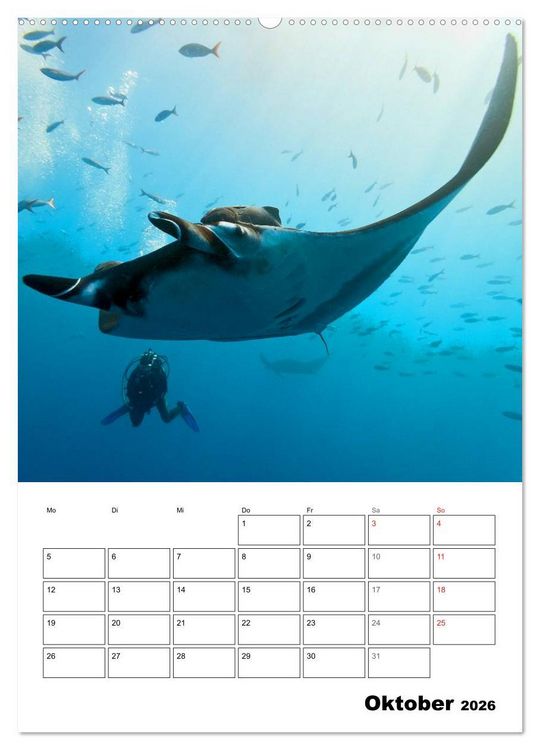Produktbild: Tauchen - Abtauchen und Staunen (Wandkalender 2026 DIN A2 hoch), CALVENDO Monatskalender