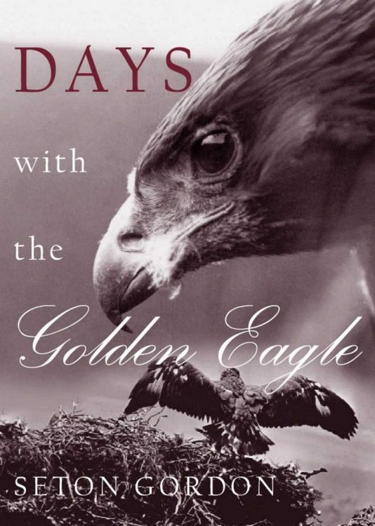 Produktbild: Days with the Golden Eagle