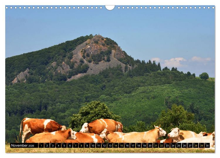 Produktbild: Rh&ouml;ner Impressionen (Wandkalender 2026 DIN A3 quer), CALVENDO Monatskalender