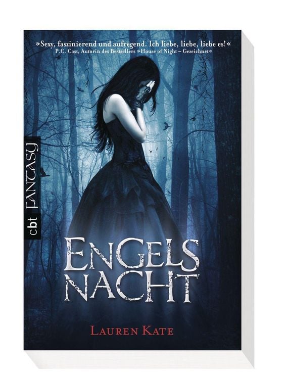 Produktbild: Engelsnacht / Fallen Band 1