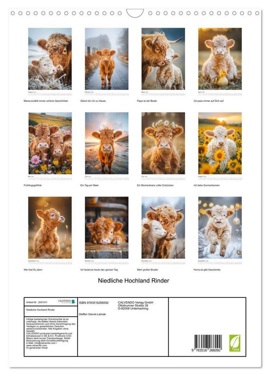 Produktbild: Niedliche Hochland Rinder (Wandkalender 2026 DIN A3 hoch), CALVENDO Monatskalender