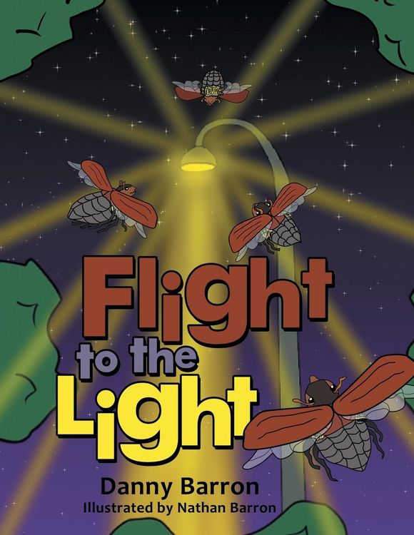 Produktbild: Flight to the Light
