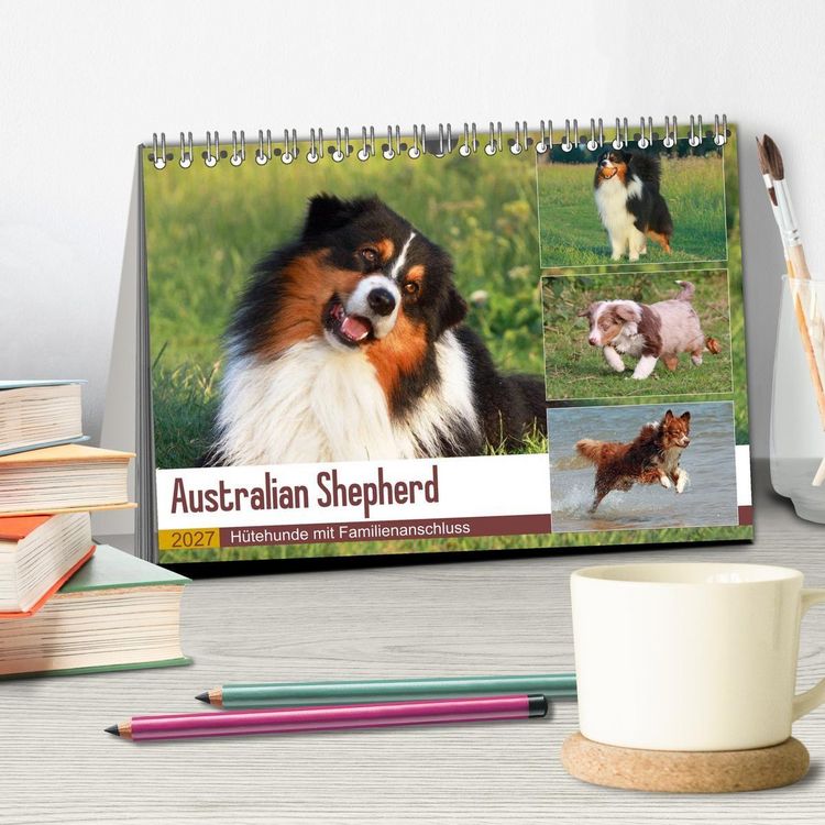 Produktbild: Australian Shepherd - H&uuml;tehunde mit Familienanschluss (Tischkalender 2027 DIN A5 quer), CALVENDO Monatskalender