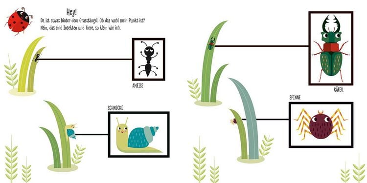 Produktbild: Mein erstes Gartenbuch