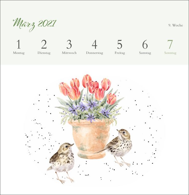 Produktbild: Hannah Dale: Happy Animals Premium-Postkartenkalender 2027