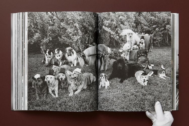 Produktbild: Bruce Weber