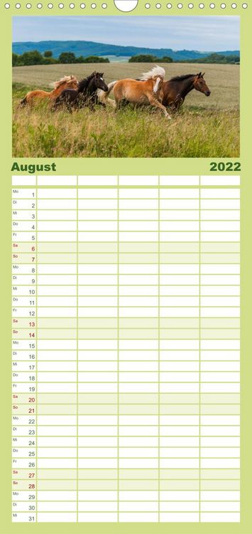 Produktbild: Welt der Pferde - Familienplaner hoch (Wandkalender 2022 , 21 cm x 45 cm, hoch)