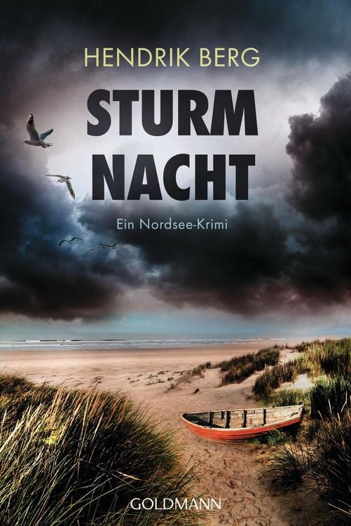 Bild vom Artikel Sturmnacht vom Autor Hendrik Berg