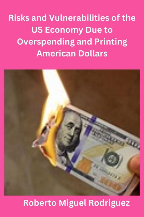 Produktbild: Risks and Vulnerabilities of the US Economy Due to Overspending and Printing Dollars
