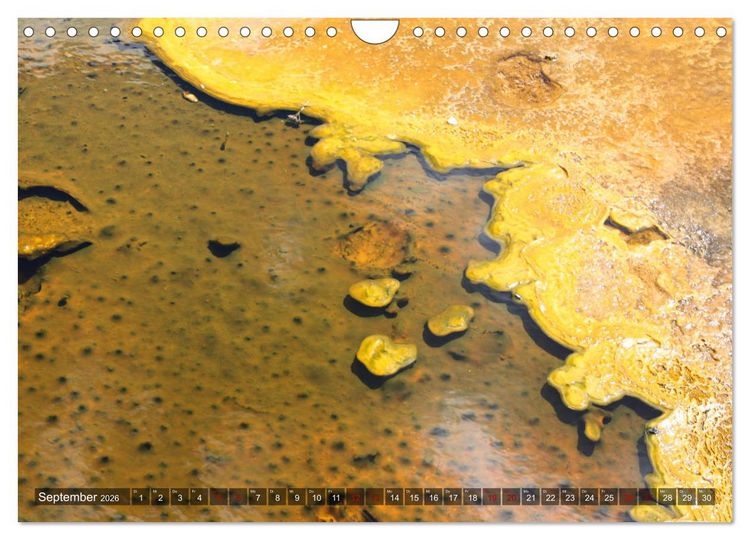Produktbild: Farben des Yellowstone National Park 2026 (Wandkalender 2026 DIN A4 quer), CALVENDO Monatskalender