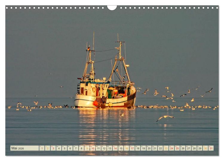 Produktbild: Maritime Augenblicke - Fischkutter (Wandkalender 2026 DIN A3 quer), CALVENDO Monatskalender