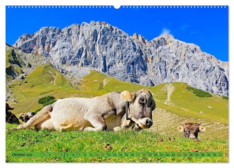 Produktbild: Auf Weidefl&auml;chen und Hochweiden (hochwertiger Premium Wandkalender 2026 DIN A2 quer), Kunstdruck in Hochglanz