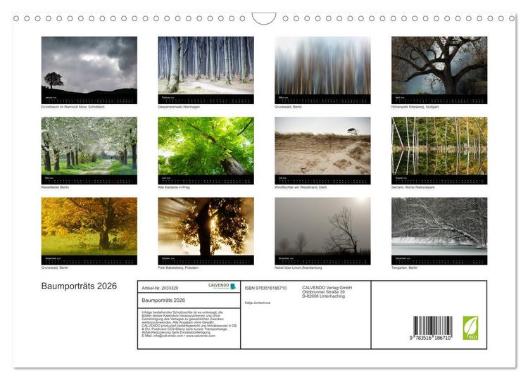 Produktbild: Baumportr&auml;ts 2026 (Wandkalender 2026 DIN A3 quer), CALVENDO Monatskalender