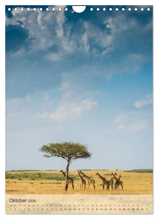 Produktbild: Emotionale Momente: Giraffen, die h&ouml;chsten Tiere der Welt. (Wandkalender 2026 DIN A4 hoch), CALVENDO Monatskalender