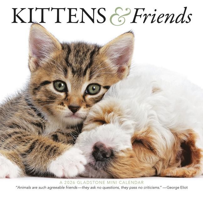 Produktbild: Kittens & Friends