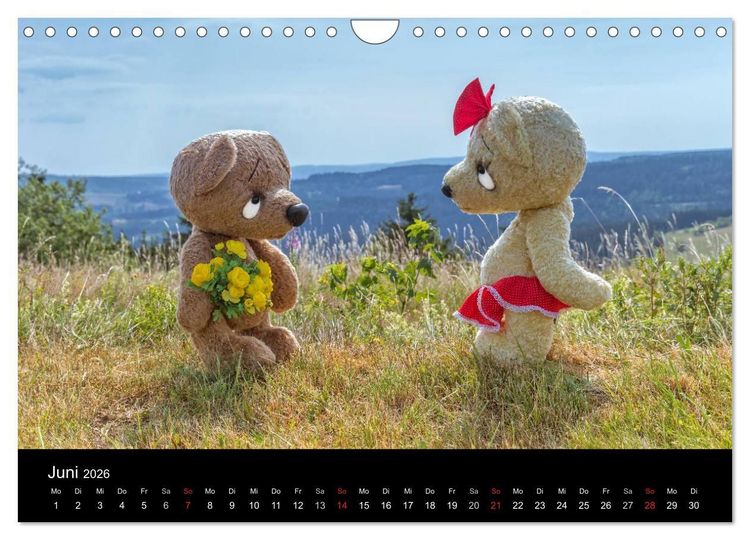 Produktbild: Martin B&auml;ren (Wandkalender 2026 DIN A4 quer), CALVENDO Monatskalender
