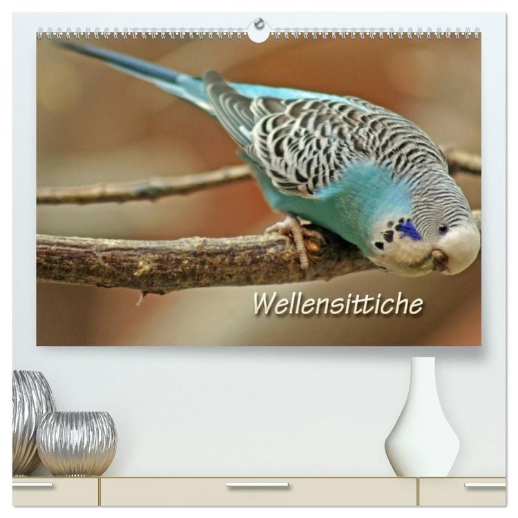 Produktbild: Wellensittiche (hochwertiger Premium Wandkalender 2027 DIN A2 quer), Kunstdruck in Hochglanz