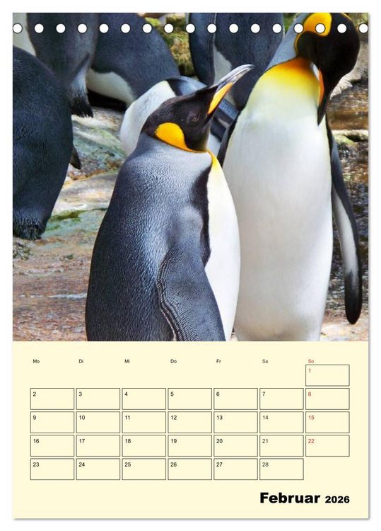Produktbild: Pinguine. Wackeln im Thermo-Frack (Tischkalender 2026 DIN A5 hoch), CALVENDO Monatskalender