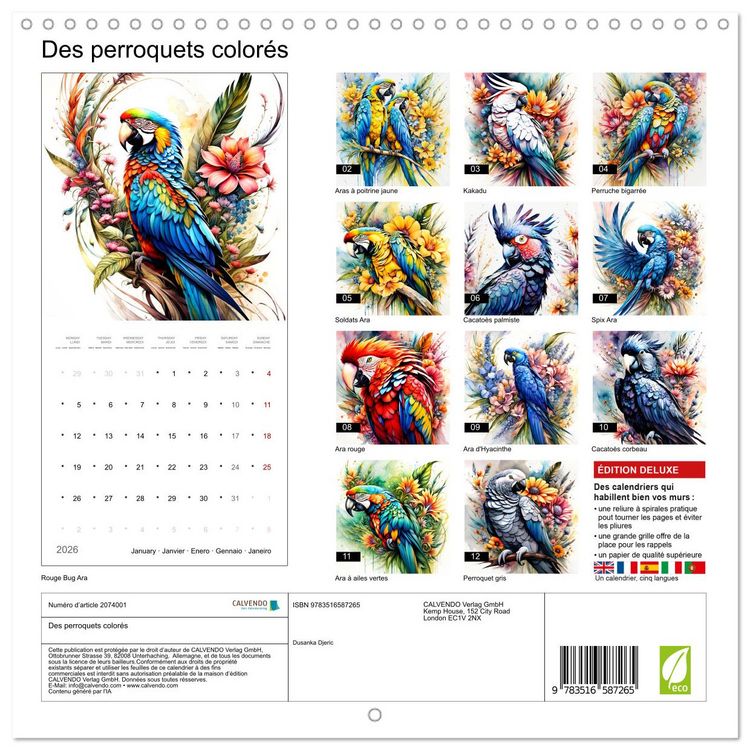 Produktbild: Des perroquets color&eacute;s (Calendrier mural carr&eacute; 2026 30x30 cm) Calendrier double avec une page pour vos prises de notes