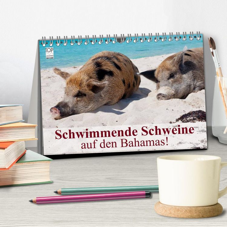 Produktbild: Schwimmende Schweine auf den Bahamas! (Tischkalender 2026 DIN A5 quer), CALVENDO Monatskalender