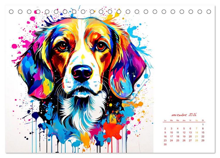 Produktbild: Show canin (Calendrier de bureau 2026 DIN A5 vertical), CALVENDO calendrier mensuel