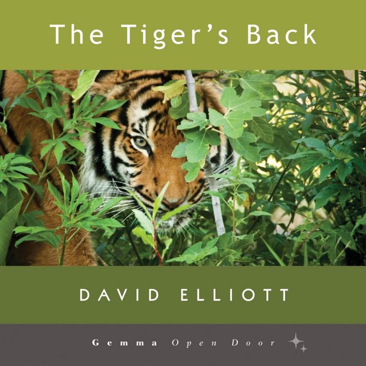 Produktbild: The Tiger's Back