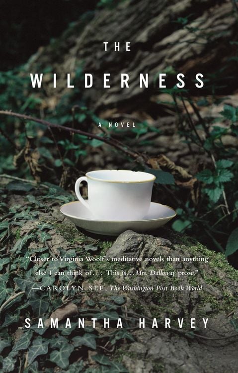 Produktbild: The Wilderness