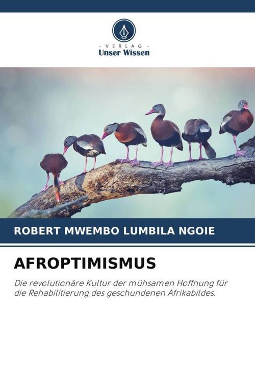Produktbild: Afroptimismus