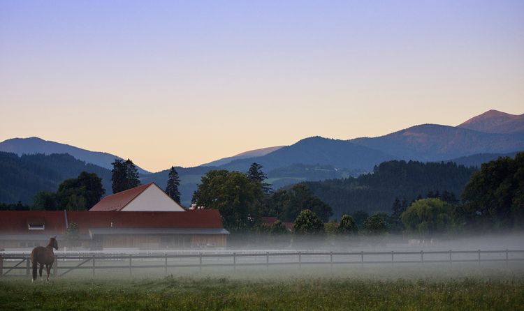 Produktbild: Trakehner Gest&uuml;t Murtal