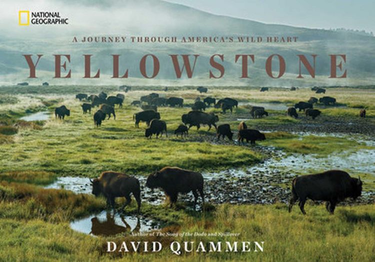 Produktbild: Yellowstone