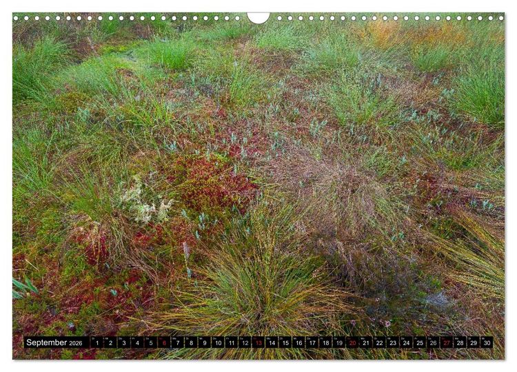 Produktbild: T&ouml;lzer Land und Blaues Land: Seelenlandschaften (Wandkalender 2026 DIN A3 quer), CALVENDO Monatskalender