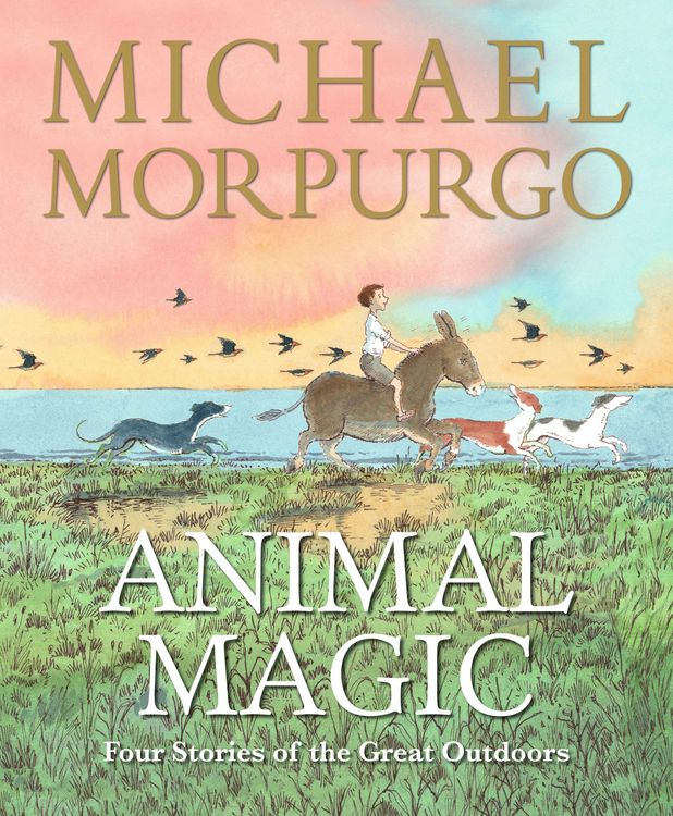 Produktbild: Animal Magic: Four Stories of the Great Outdoors