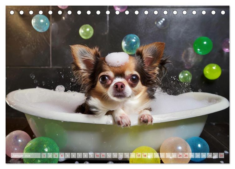 Produktbild: Chillige Chihuahuas - Entspannte Fellnasen genie&szlig;en das Leben (Tischkalender 2026 DIN A5 quer), CALVENDO Monatskalender