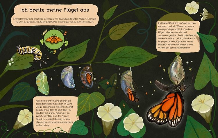 Produktbild: Kleine Geschichten aus der Natur
