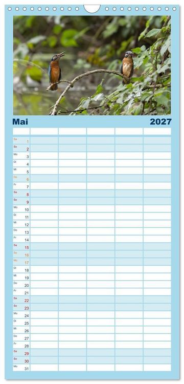 Produktbild: Familienplaner 2027 - Alcedo atthis. Der Eisvogel mit 5 Spalten (Wandkalender, 21 x 45 cm) CALVENDO
