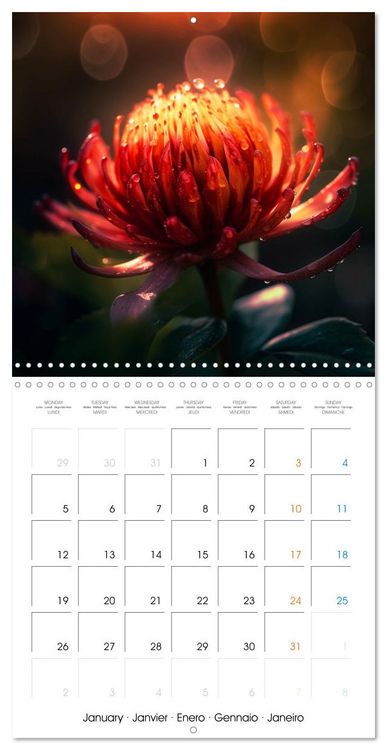 Produktbild: &Eacute;clats naturels (Calendrier mural carr&eacute; 2026 30x30 cm) Calendrier double avec une page pour vos prises de notes
